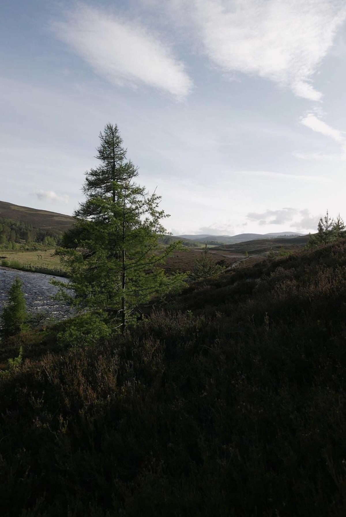 Huswell - Gairnshiel Lodge - Unique & Exclusive Lodge Next To The Castle Ballater Exteriör bild